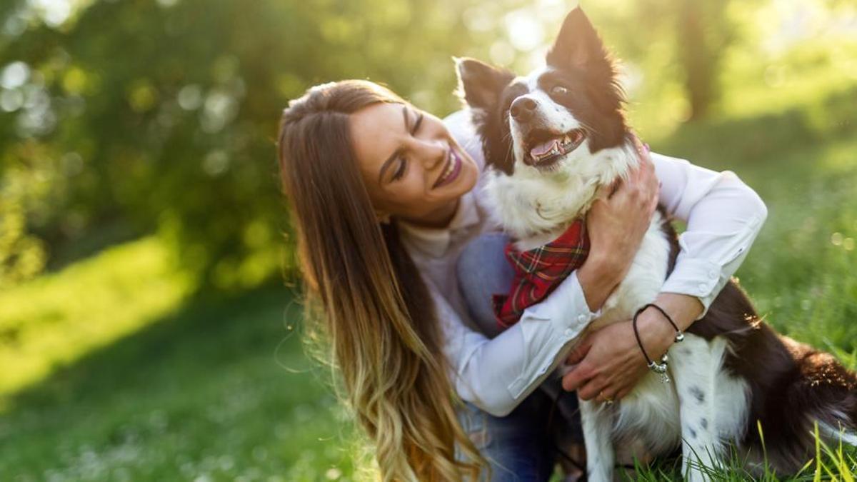 Los 10 gestos que tu perro odia pero que tu piensas que le encantan