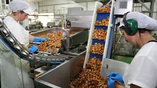 El Perte Mar-Industria reduce la inversión mínima para abrirse a más empresas