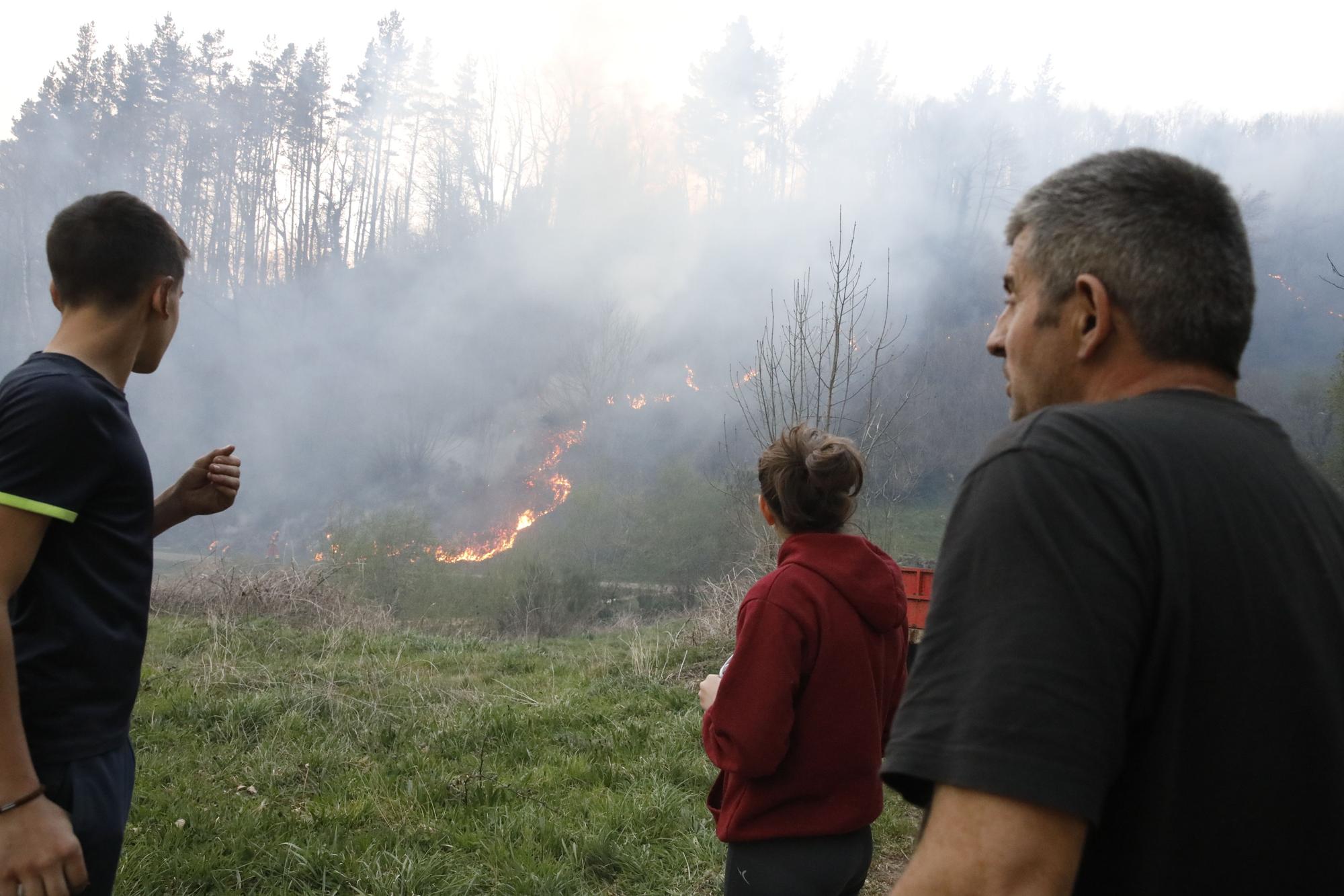 EN IMÁGENES: bomberos, vecinos y la UME luchan contra el preocupante incendio en Tineo