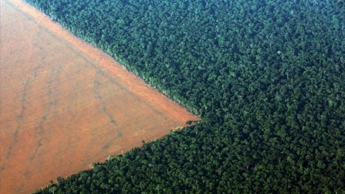 Vista de la selva amazónica deforestada convertida en un campo preparado para la siembra de la soja, en el estado de Mato Grosso,  Brasil.