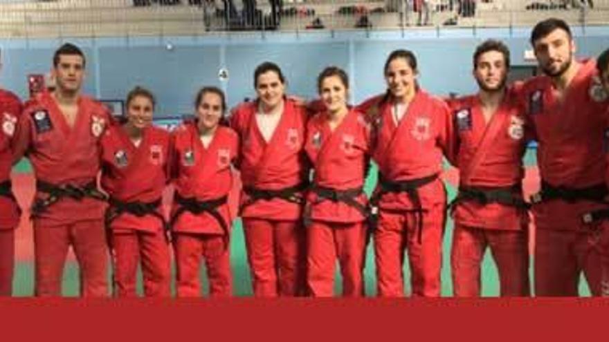 Los equipos del Judo Avilés que disputaron la primera jornada de la Liga Nacional.