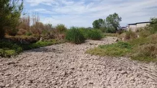 El río Albaida se seca en algunos tramos por la escasez de lluvia y el calor intenso