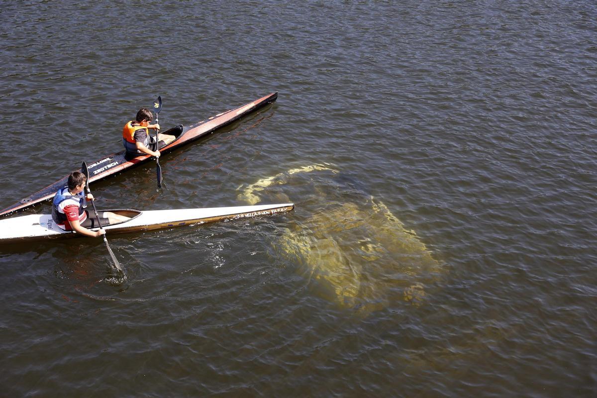 Pontecesures. Coche hundido en el río Ulla.