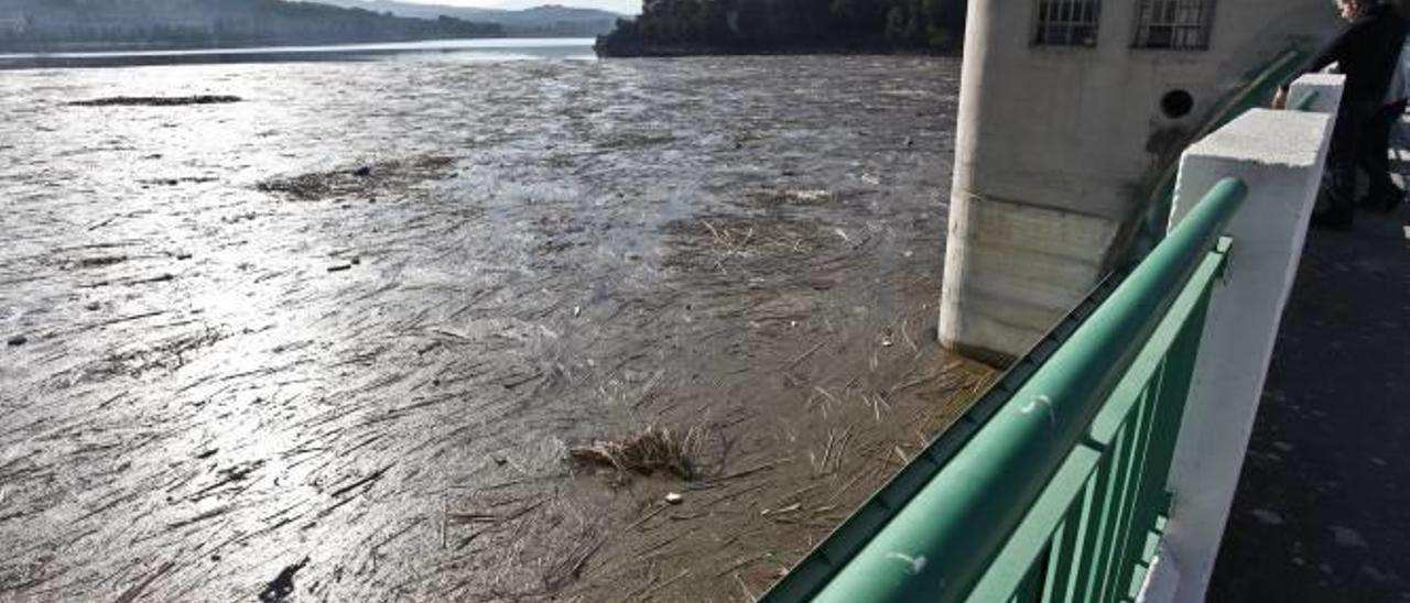 Imagen de la gran cantidad de desperdicios que se acumulan en la actualidad junto a la presa del pantano de Beniarrés.