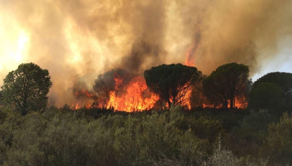 Incendi entre Vilamaniscle i Garriguella