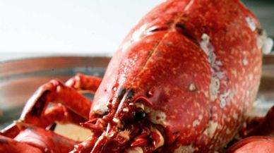 Galicia, los mejores menús con sus productos estrella
