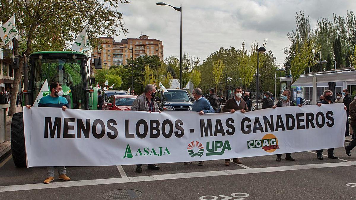 Pancarta que abría la manifestación con el lema “Menos lobos - Más ganaderos”. | Sergio Villar