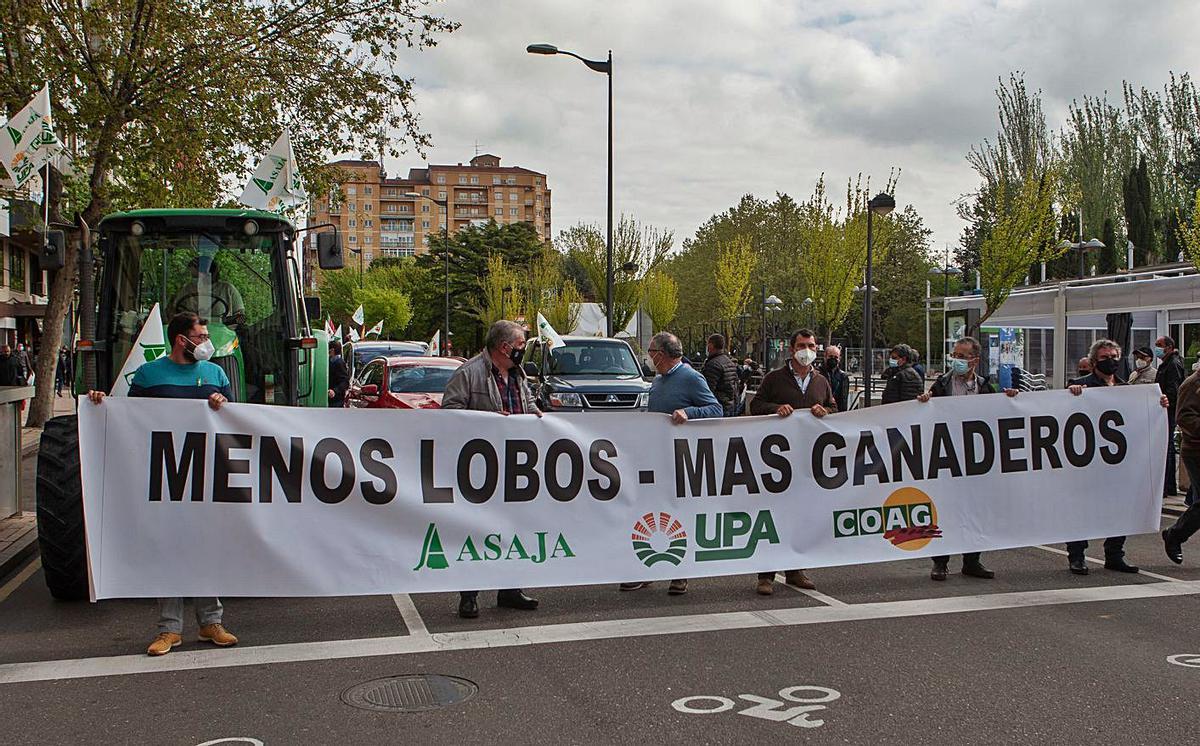 Pancarta que abría la manifestación con el lema “Menos lobos - Más ganaderos”. | Sergio Villar