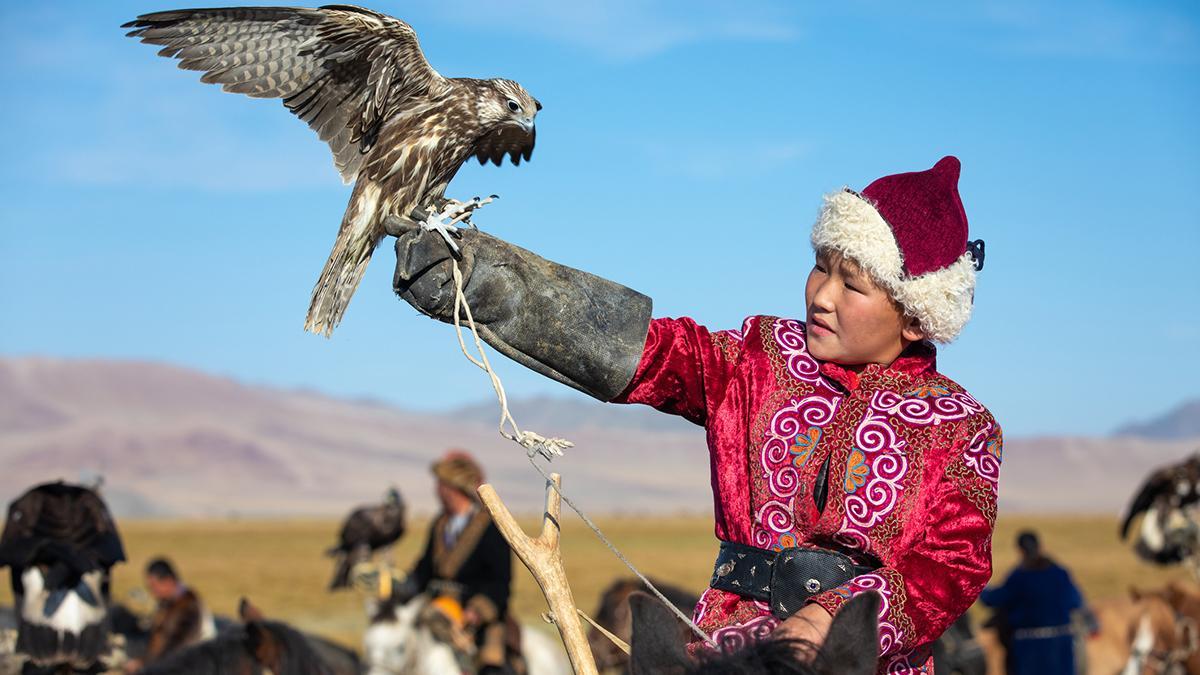 La cetrería con águilas reales sigue viva en algunas comunidades nómadas de Mongolia, donde se transmite de generación en generación.