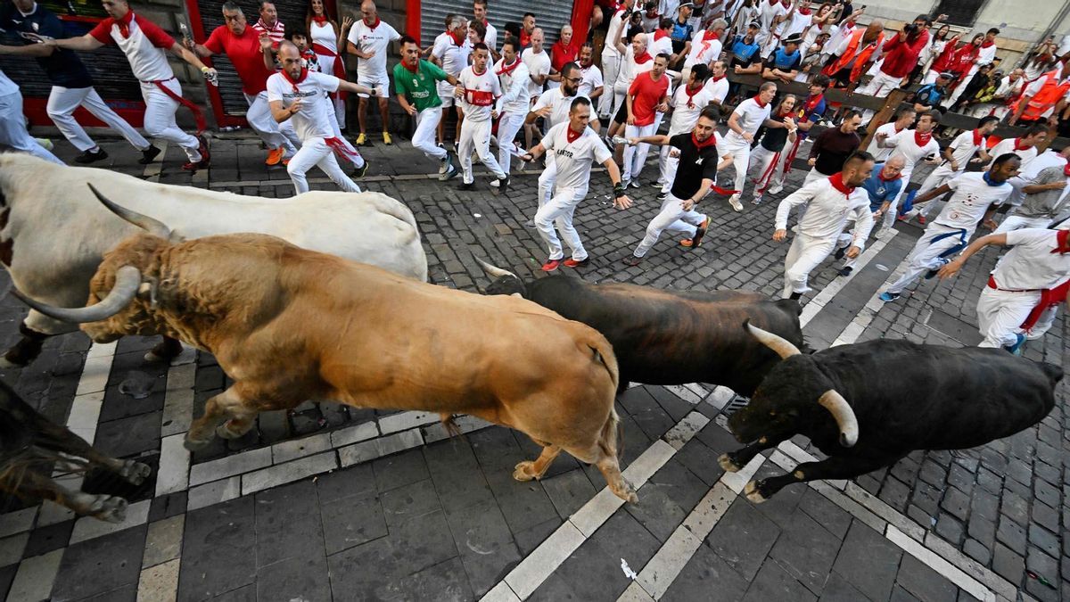 Quinto encierro de San Fermín con toros de Jandilla