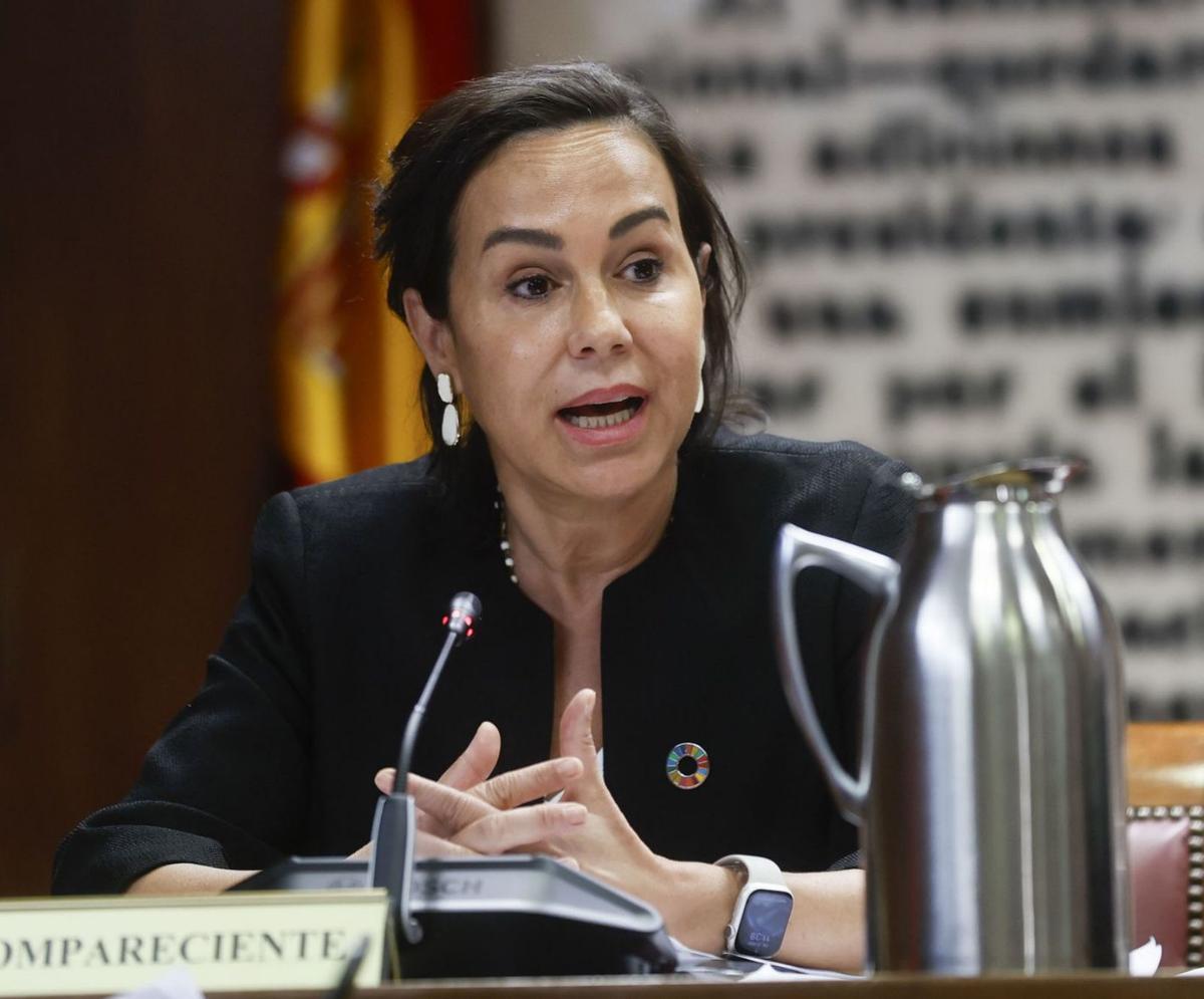 Pardo de Vera va cedir contractes de 6,8 milions a una firma a petició de Koldo Pardo de Vera va cedir contractes de 6,8 milions a una firma a petició de Koldo