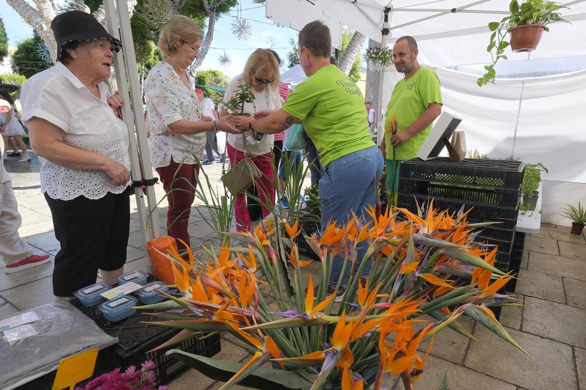 Raúl López, de Viveros Fataga, atiende a varios clientes en su puesto del Mercado Agrícola de Gáldar, donde ofrecía plantas de interior, aromáticas y de jardín.