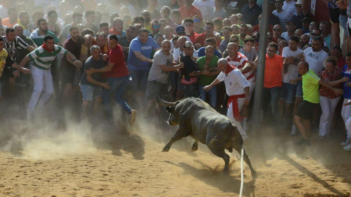 Un momento de la salida de Galocho, el Toro Enmaromado de 2025.