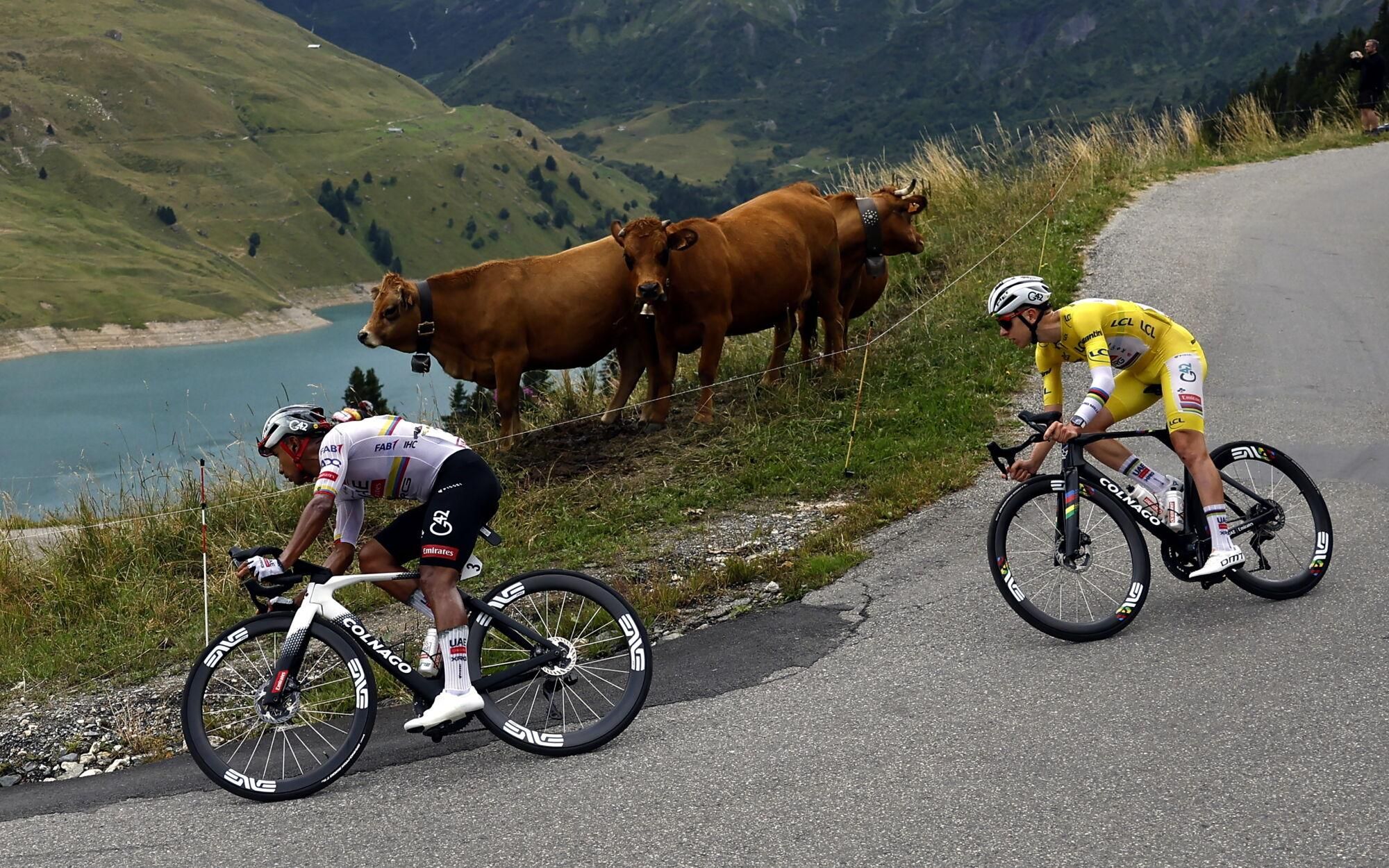  La etapa 19 del Tour de Francia, en imágenes.