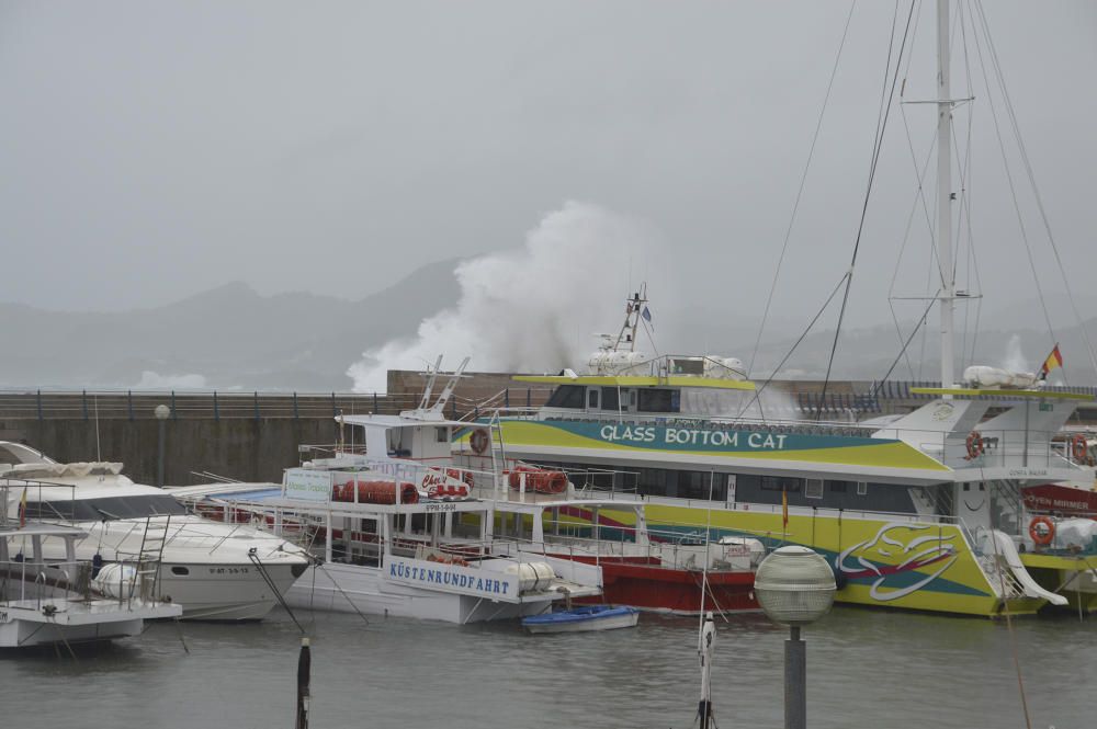 Los estragos del temporal en Mallorca