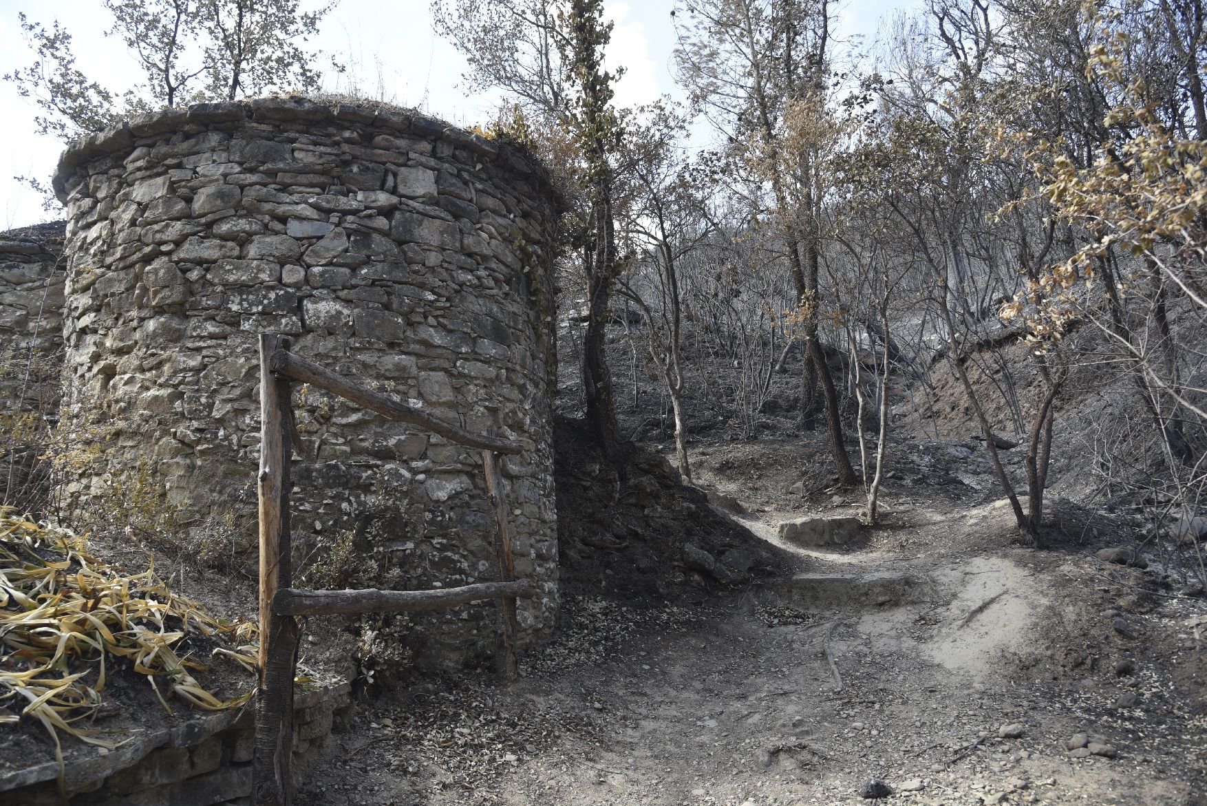 Així ha afectat el foc les tines de la Vall del Flequer