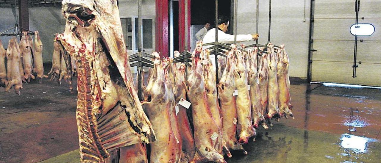 Piezas de carne en las instalaciones del matadero.