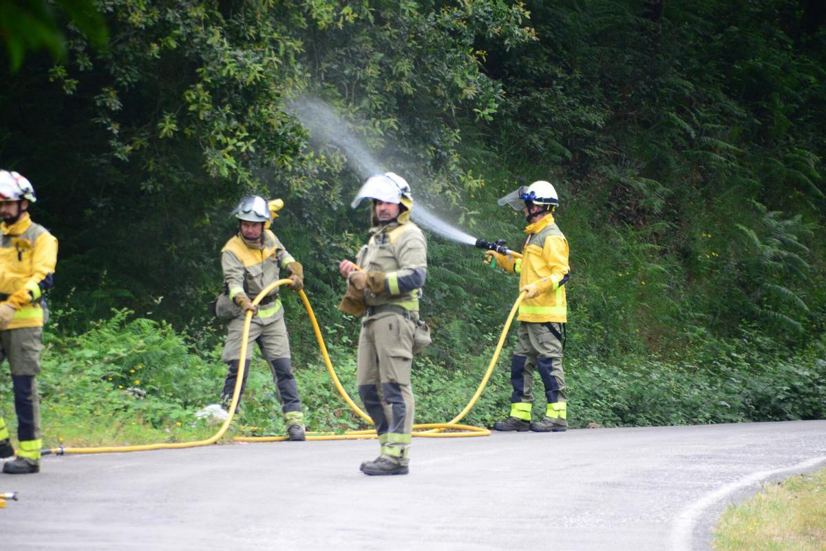 El último simulacro de coordinación contra incendios forestales realizado en los montes de Domaio (Moaña).