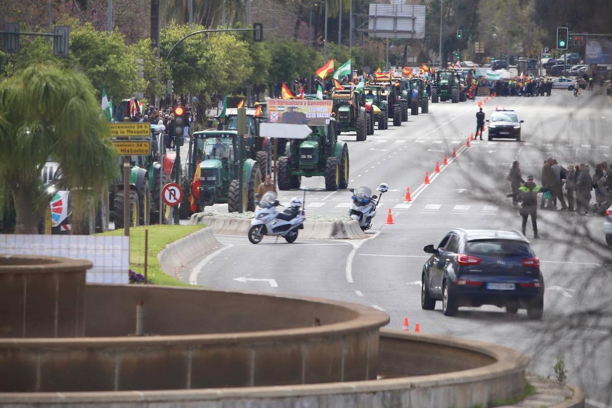 La tractorada, en la avenida de Vallellano de la capital cordobesa.