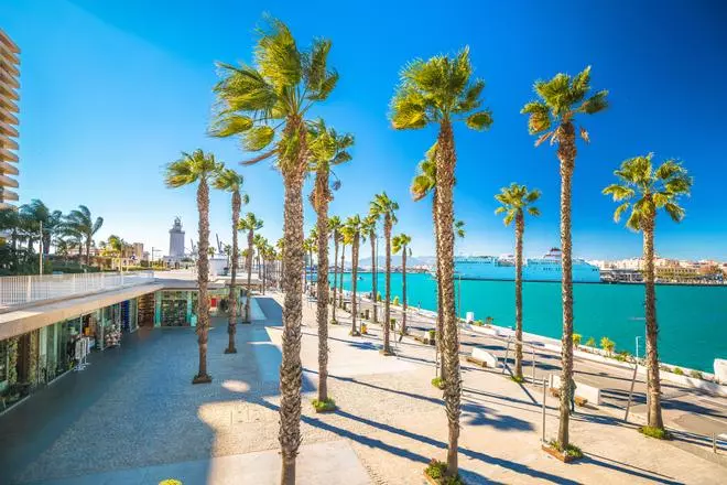 El paseo marítimo más bonito de España está bajo una pérgola de mil pétalos blancos