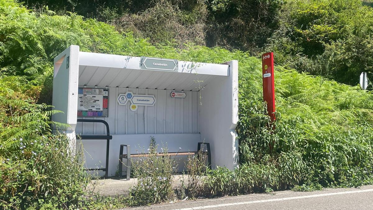 Una parada de autobús, llena de maleza.