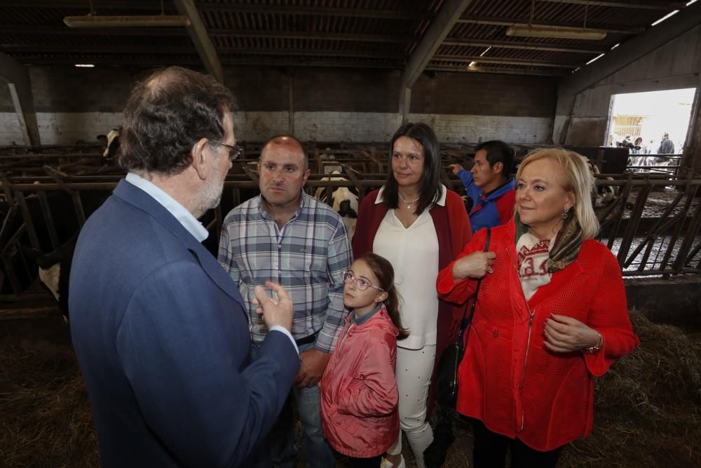 Visita de Mariano Rajoy a una ganadería en Gozón (Asturias)