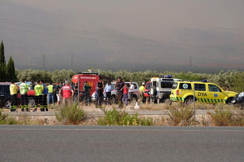 Declarado un incendio en una zona de barranco de Beneixama