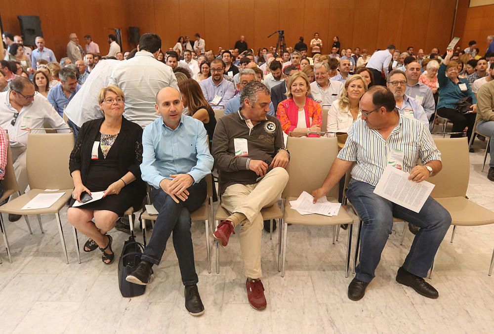 Congreso Provincial Extraordinario del PSOE de Málaga