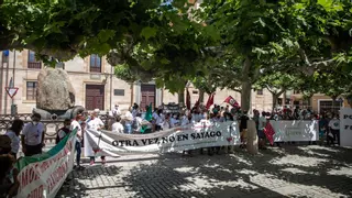 VIDEO | La Zamora rural alza la voz: "Renovables sí, pero no así"