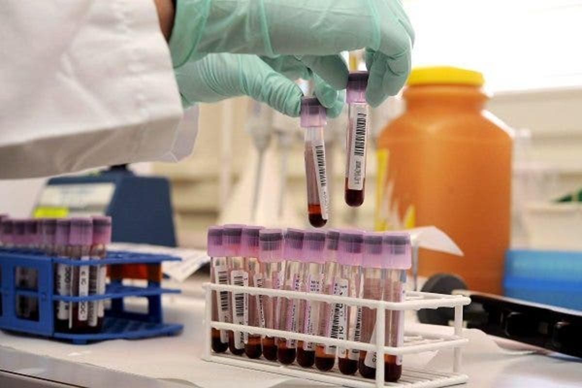 Cada 27 segundos se diagnostica un cáncer de sangre en el mundo: estos son los más frecuentes