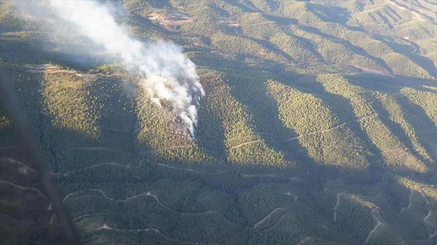 El incendio de Las Peñas de Riglos ha quemado 5 hectáreas arboladas