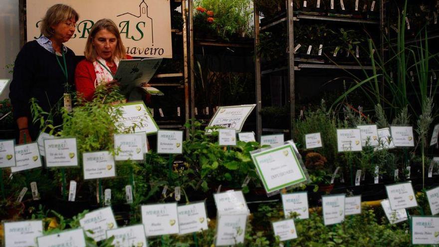 Uno de los productores en la Feria