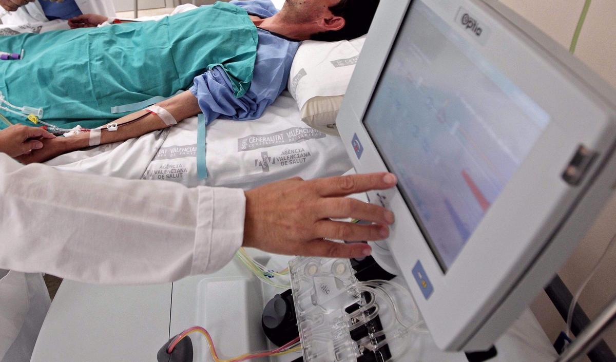 Suben un 25 % los trasplantes de médula ósea de donantes no emparentados en solo dos años