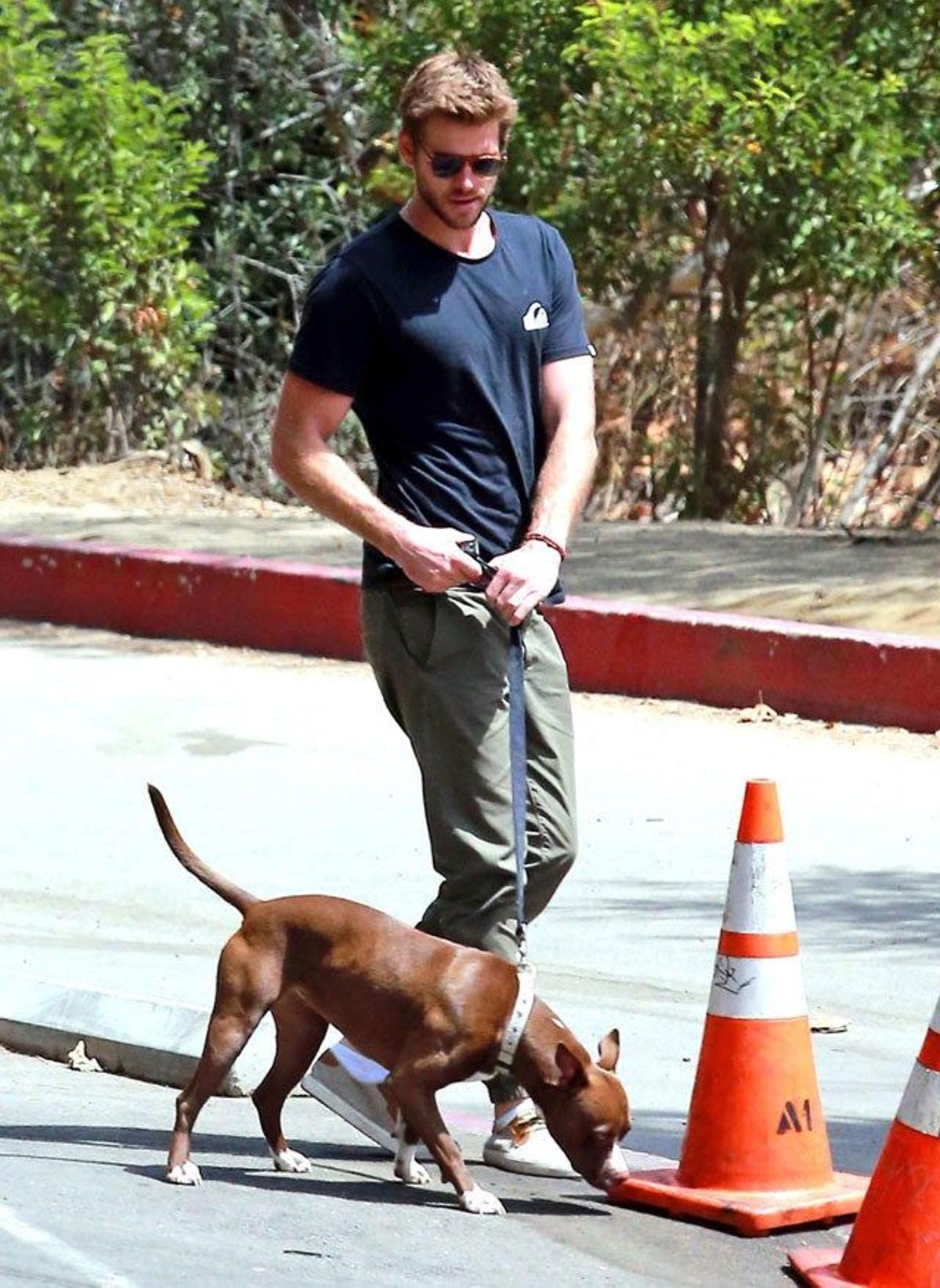 Liam Hemsworth, de paseo con su compañero y amigo más fiel: su perro