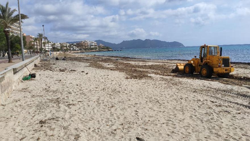 Die Natur hat ganz alleine dafür gesorgt, dass der Strand sich regeneriert.