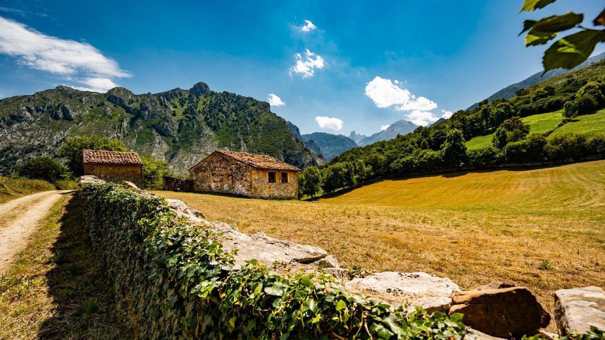 El pueblo del queso más caro del mundo tiene récord Guinness tras subastarse una pieza por 37.000 euros