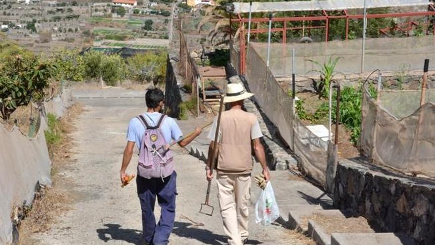 Emprendimiento social en la finca El Viso