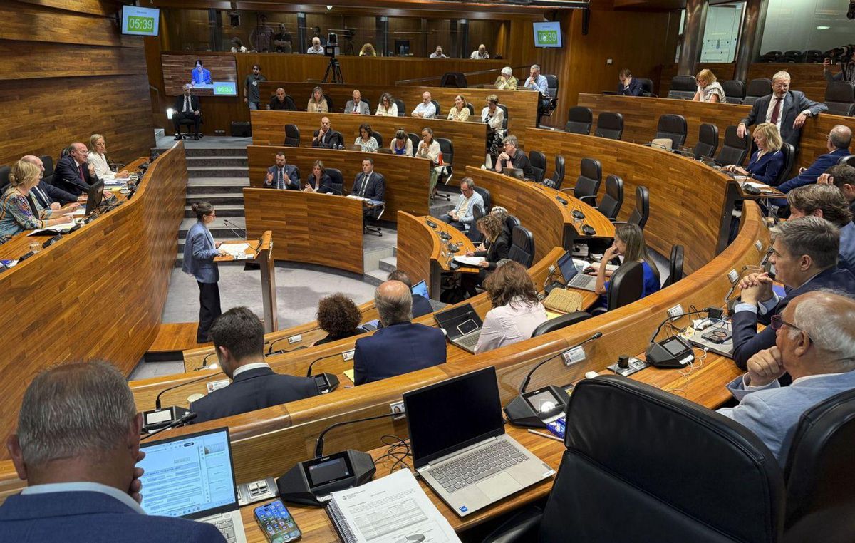 Dolores Carcedo, durante su intervención de ayer ante el Parlamento asturiano. | PACO PAREDES