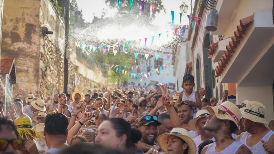 Más de 800 personas reviven en Tunte uno de los antiguos oficios de las medianías