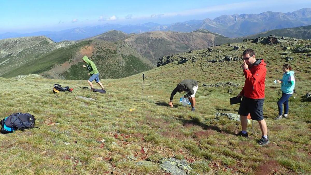 El investigador del IMIB Borja Jiménez, junto a otros compañeros, durante un trabajo de campo.