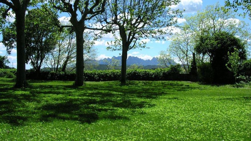 Manresa celebra la vellesa amb una festa als jardins de la Cova