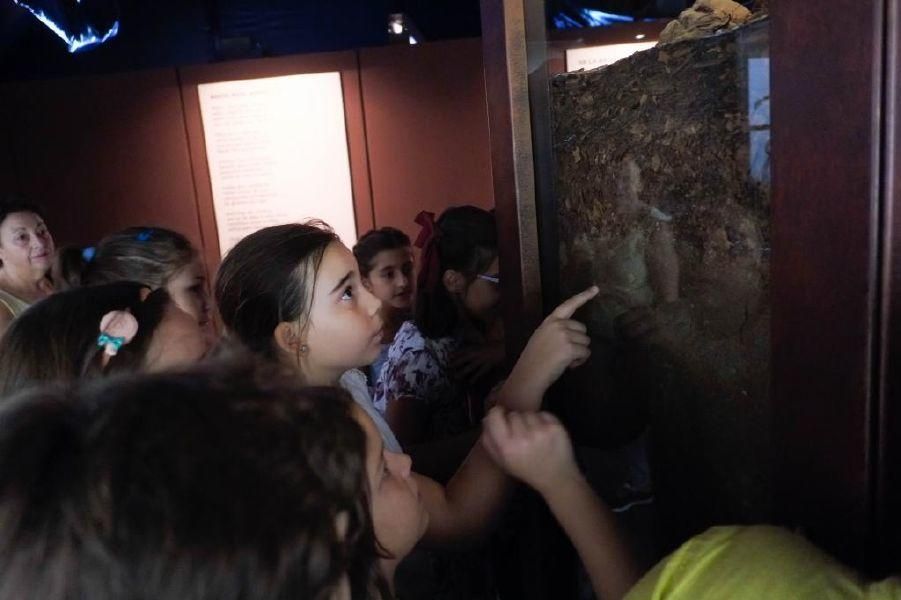 Exposición "El bosque, mucho más que madera"