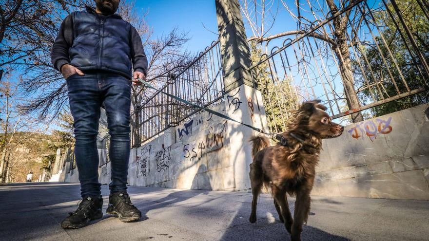 Alcoy refuerza el control del Romeral tras la muerte de perros envenenados