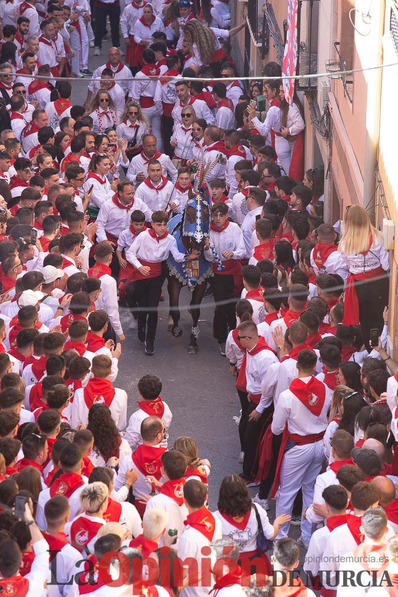 Caballos del Vino en la cuesta de la Simona