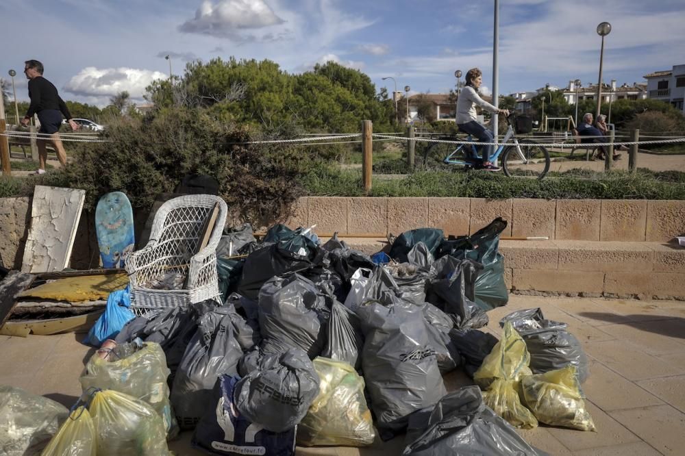 Más de 60 voluntarios retiran 340 kilos de residuos de es Carnatge