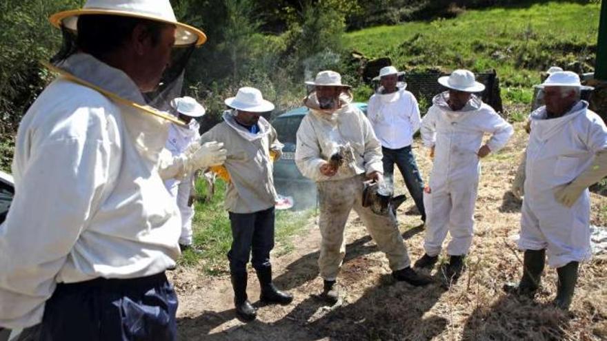 Una de las sesiones prácticas del curso de apicultura organizado por A Soutelana.  // Bernabé / Luismy