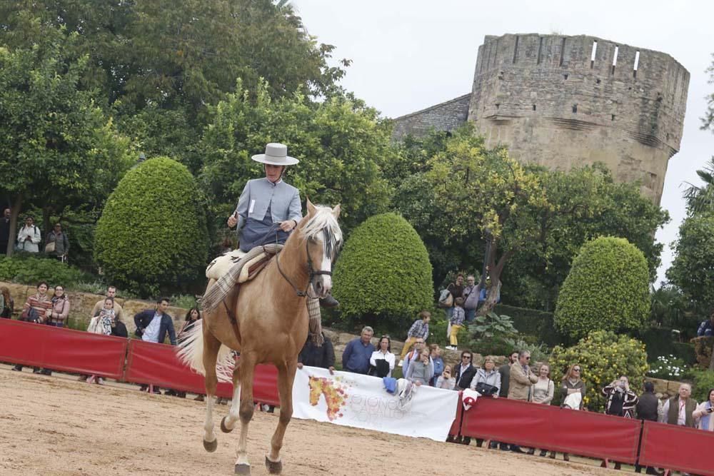 El caballo y su oficios en el Alcázar