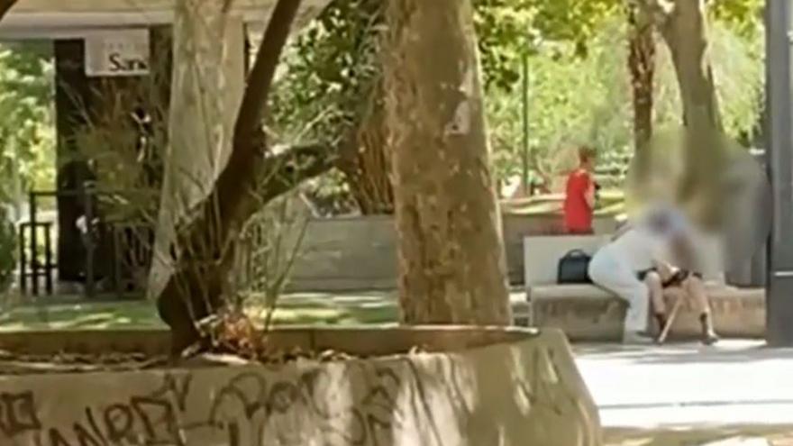 Vídeo: Una parella d&#039;ancians practica sexe oral en un parc a plena llum del dia