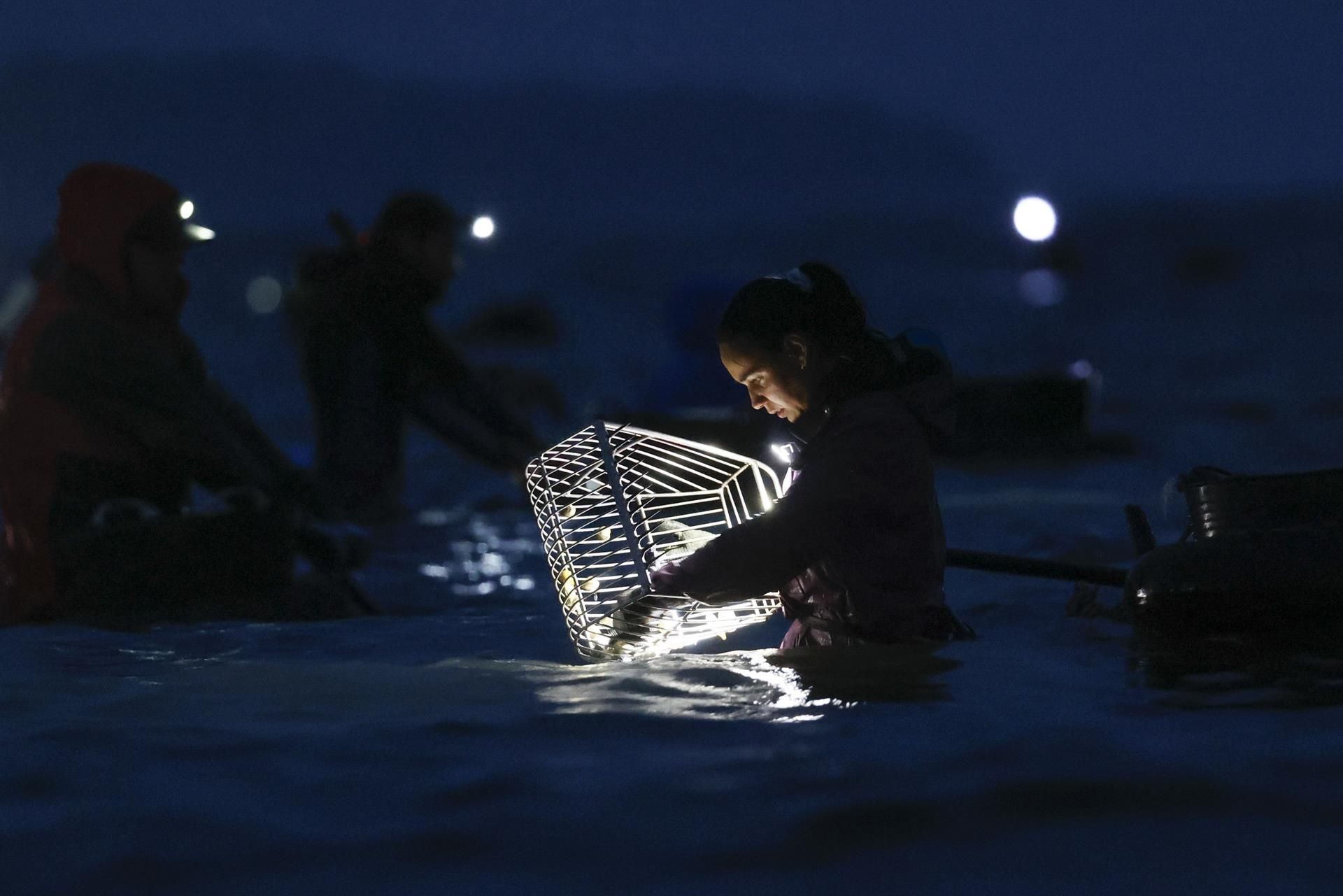 Mariscadoras en la Ría de Muros y Noia.