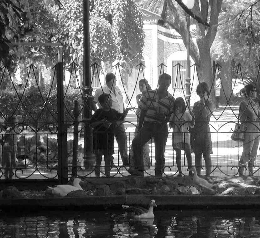 EN IMÁGENES | Castelar, de generación en generación.